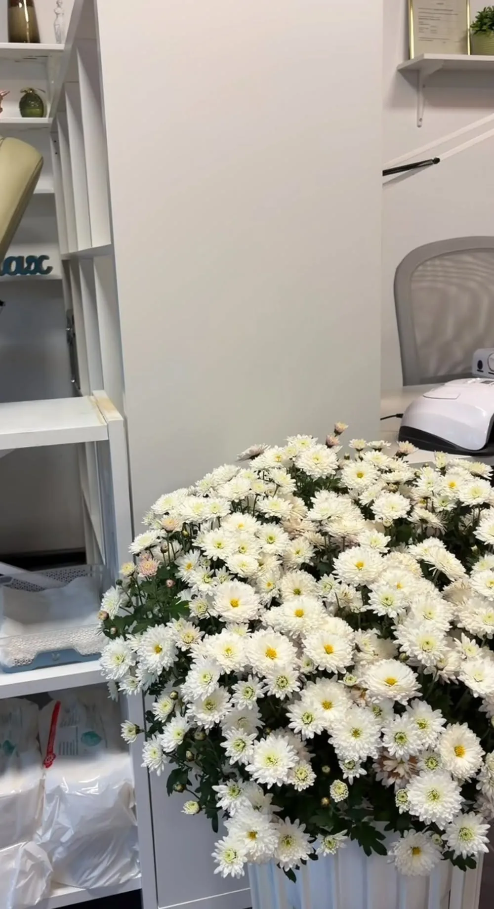 WhiteNails studijas stūrītis ar baltām krizantēmām
